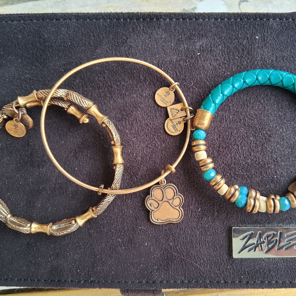 Alex and ANi Bracelets set of 3, including dog paw!